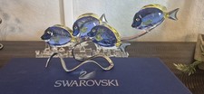 Swarovski Crystal Fish, Beautiful Blue and Yellow Tangs