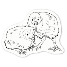Aufkleber Sticker "Kiwi Vögel" (DW050827)