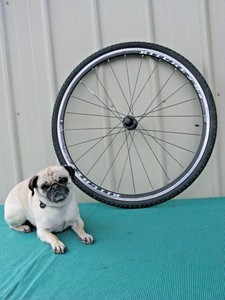 ritchey ds pro wheels