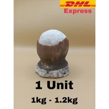 1 Unit (SMALL) Asin Tibuok Dino Egg Artisanal Coconut Sea Salt Bohol Philippines
