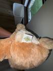 2009 The Petting Zoo Meerkat Plush Stuffed Animal 17”, soft — photo 7