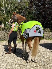 EvoEquine Hi Viz Airtex Summer Sheet, horse riding sheet, high vis safety cover
