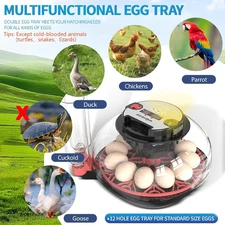 12 Egg Incubators for Hatching Eggs, Egg Incubator Incubator with Automatic Turn