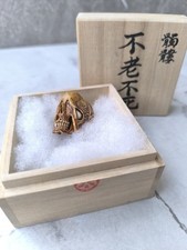 Memento mori Vanitas Tortoiseshell-like skull Japanese Artist HATTORI signed