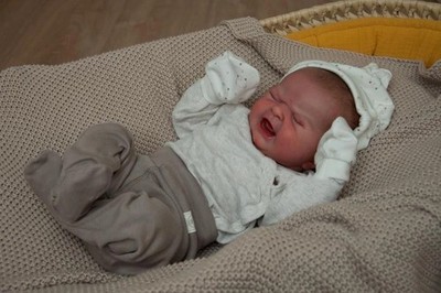 19inch Reborn Doll Maria 'Baby's First Cry' - 3D Skin Painted Hair Visible Veins