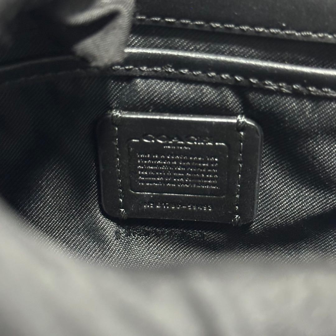 Coach Shoulder Bag Swagger Chain Python Pattern B… - image 10