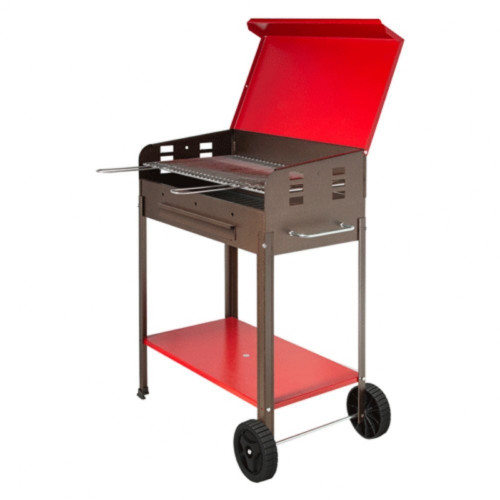 Barbecue da Giardino Vanessa 60x40 - Il Re delle Grigliate in Famiglia