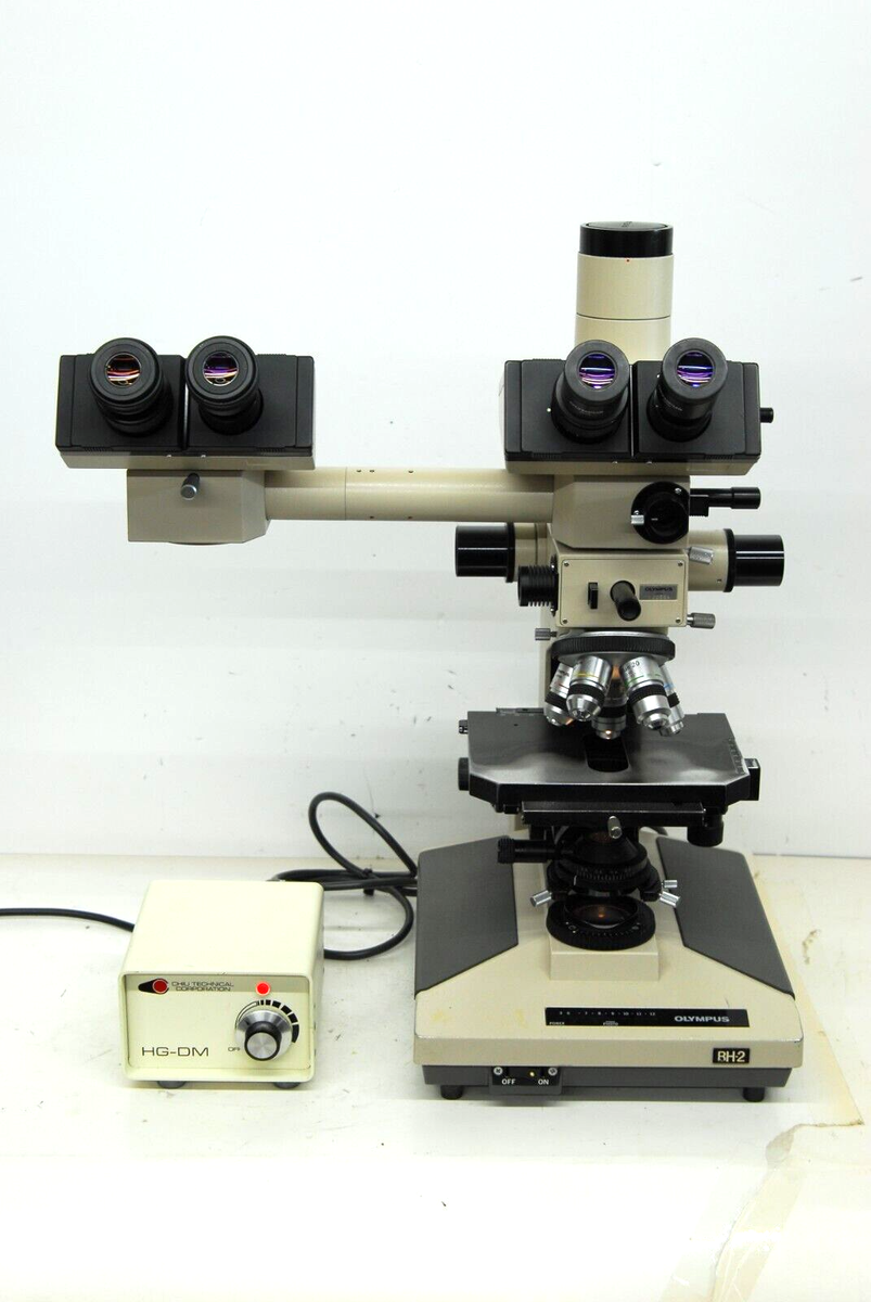 Nicon 年代物 F2 7426497 Nicon 年代物 F2 7426497 Nikon – Vintage