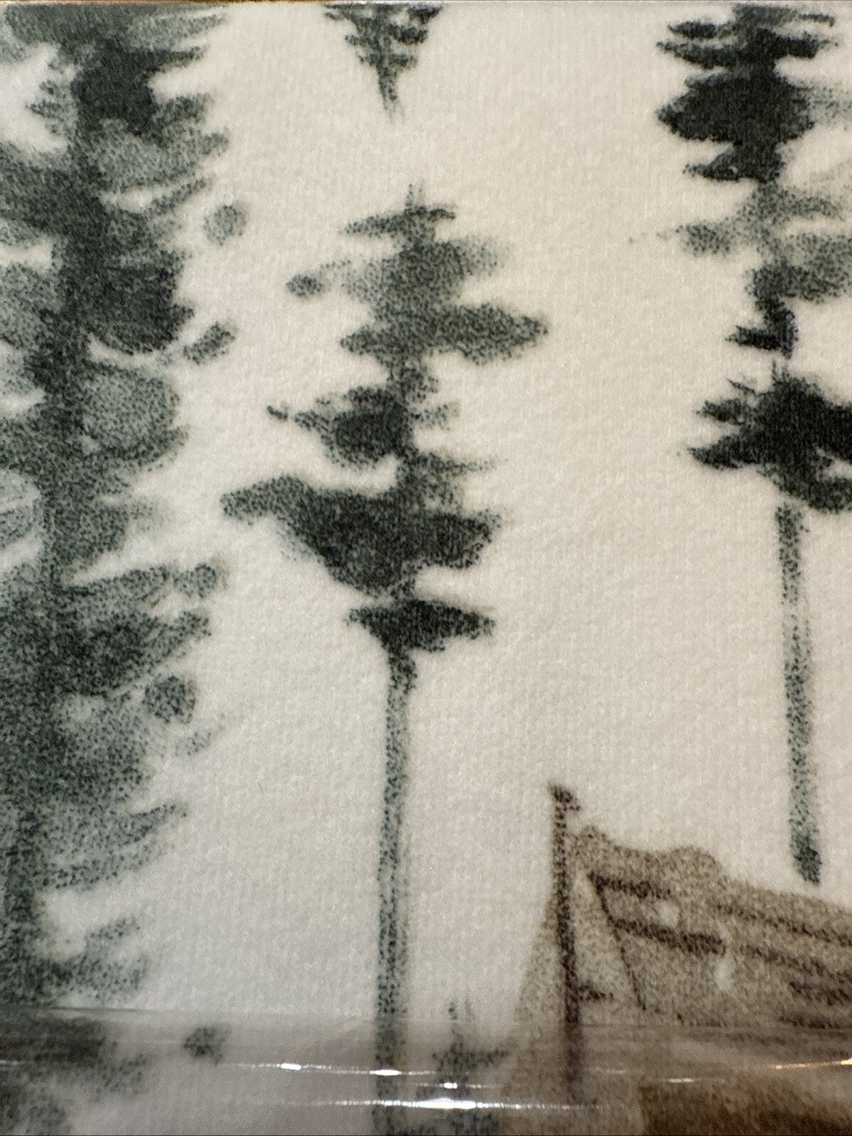 Picture 9 of 9