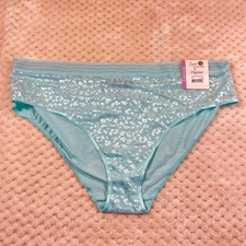 Secret Treasures Hipster Jacquard XL 16-18 Silky Lace Nylon New