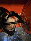 Ariens Snow Blower 24" Serial #: 920010 — photo 1