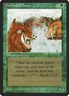 Durkwood Boars Legends Light Play MTG Magic DNA GAMES