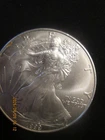 1999 American eagle silver $1 .999 fine silver, BU