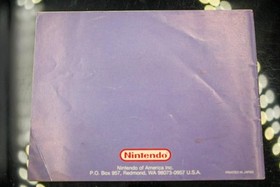 NO GAME- Authentic Manual ONLY! Nintendo NES Snake TETRIS