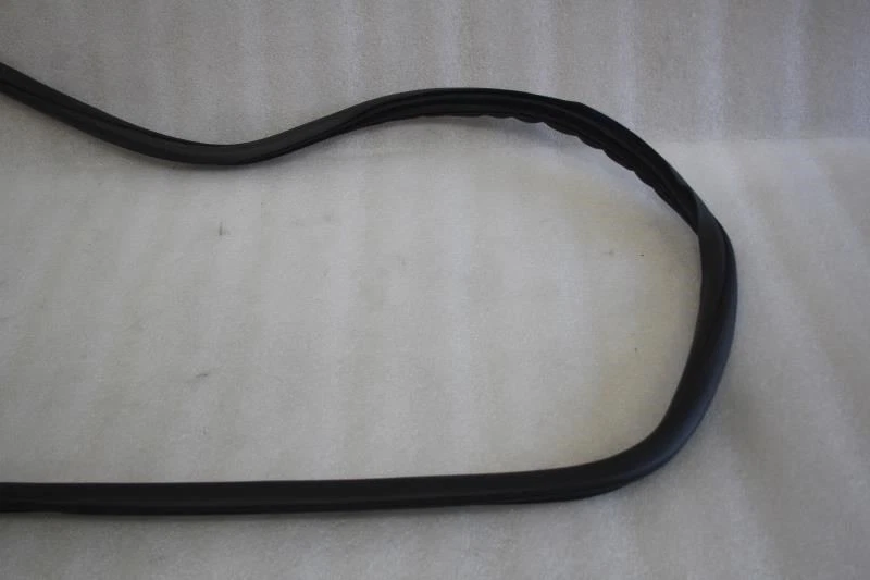 Cadillac CT5 2020 2021 lado izquierdo del conductor puerta trasera jamba sellado resistente a la intemperie Foto 2 de 4