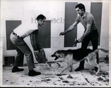 Press Photo Douglas Cohen and Scott Huxtable - nef27088