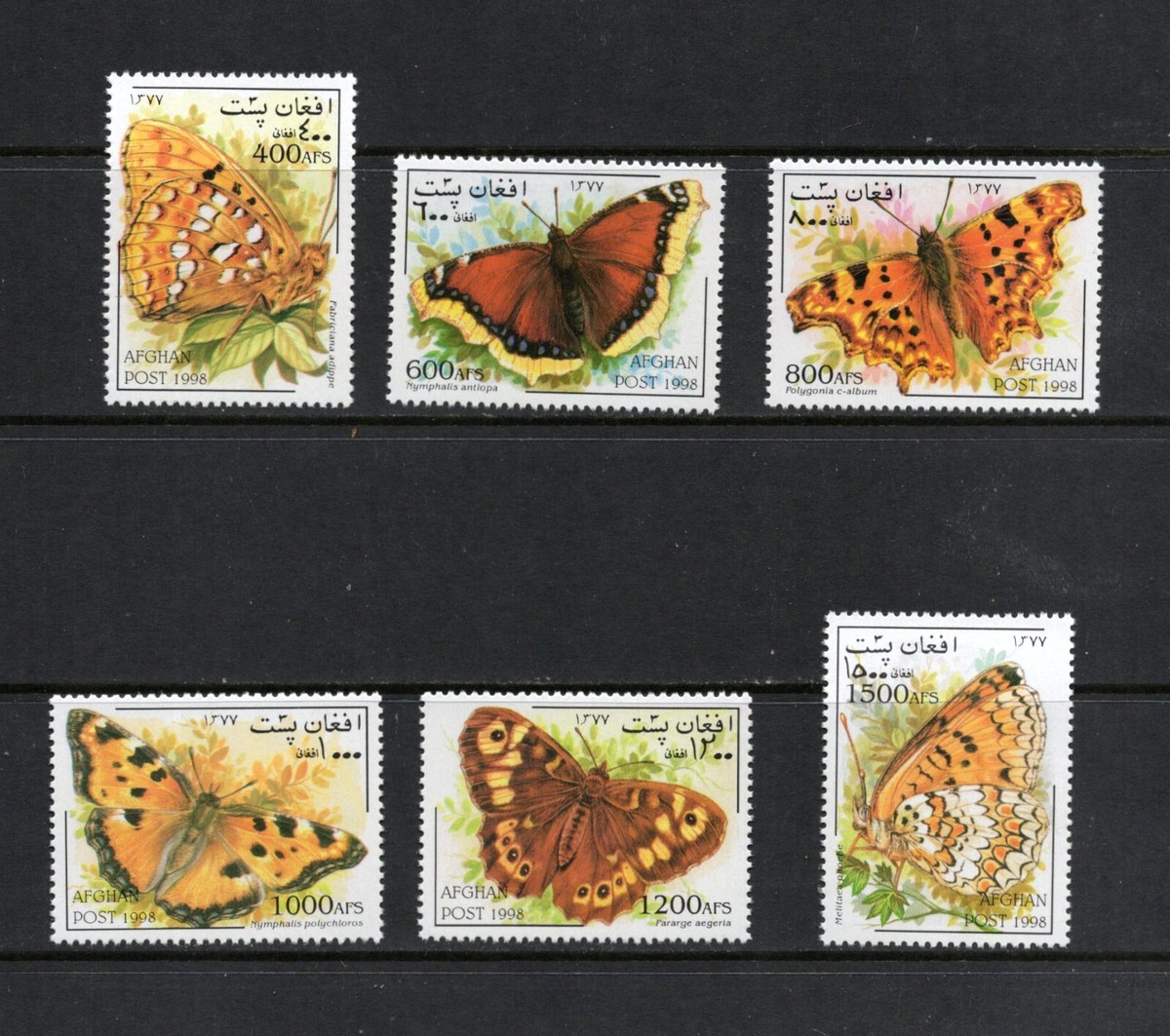 その他 butterfly R6540 Afghanistan 1998 butterflies 6v. MNH | eBay