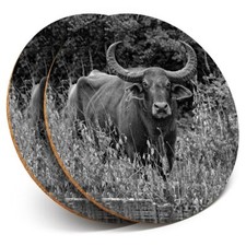 2 x Coasters bw - Water Buffalo Wild Animal  #35522