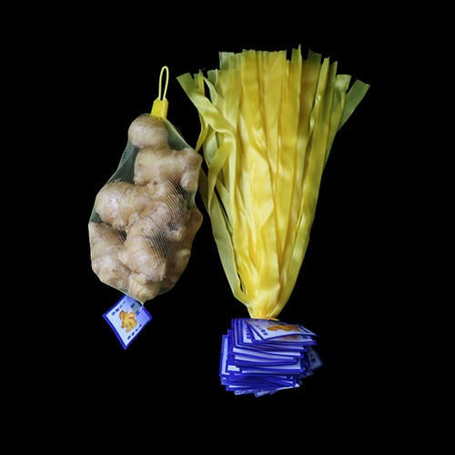 100pz Sacchetti Rete Plastica Aglio Zenzero Imballaggio Rete Sacchi con Fibbie per Mercato - Foto 4 di 15