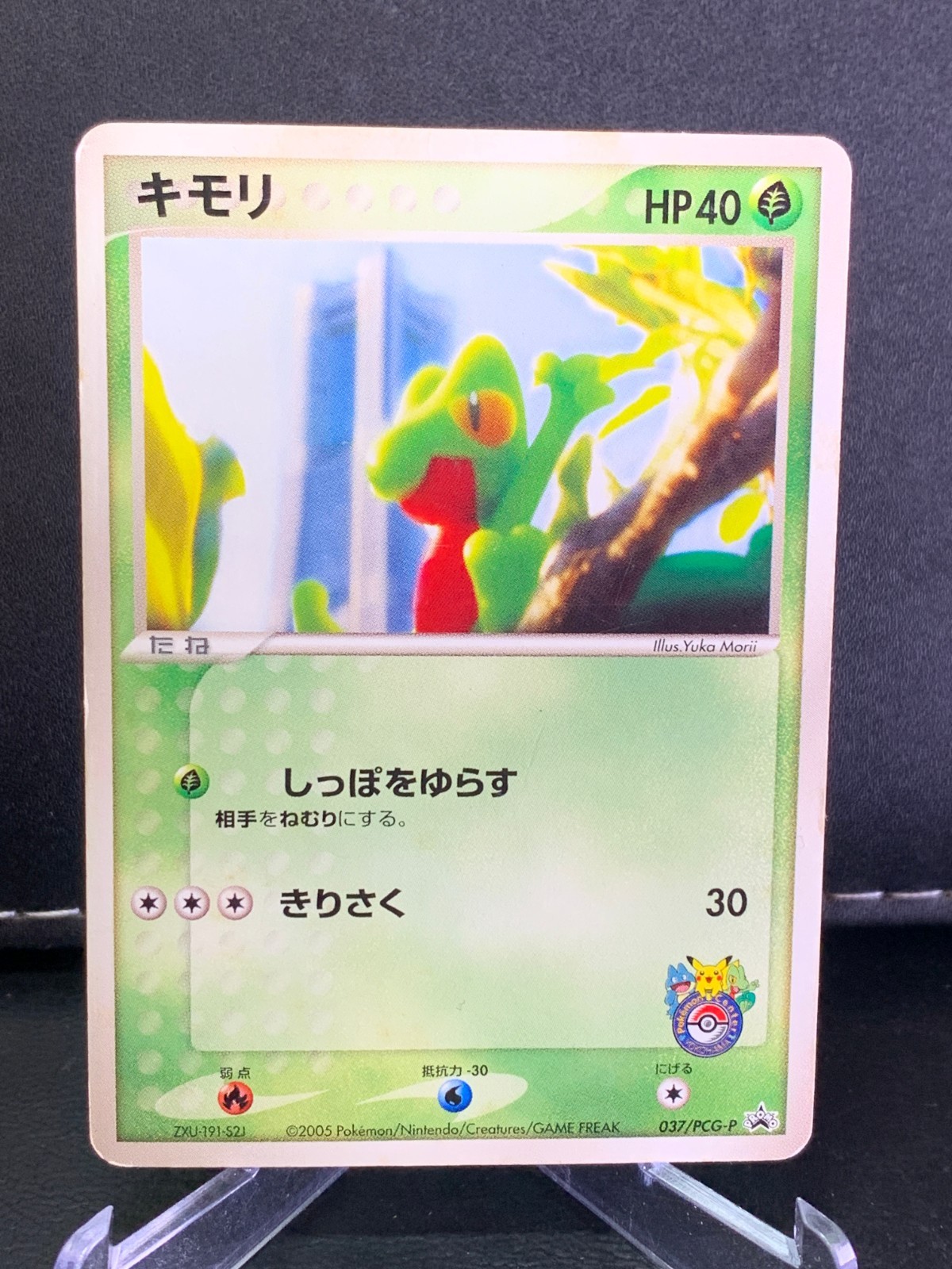 Treecko 037/PCG-P Pokemon Center Yokohama Promo 2005 Japanese Pokemon Card
