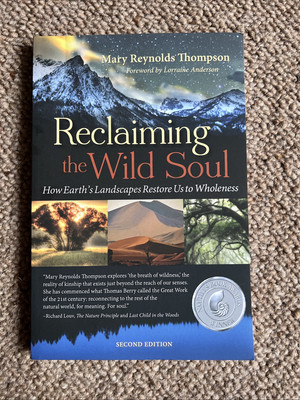 Reclaiming the Wild Soul: How Earth's Landscapes Restore Us to Wholeness Book