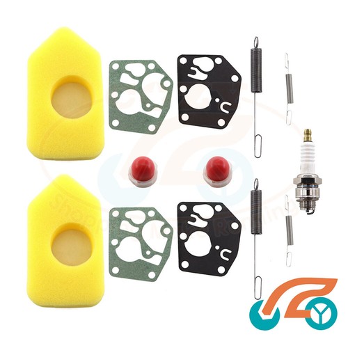 ISE - Filtro Aria In Schiuma Per Motori Briggs & Stratton 698369 - Foto 10