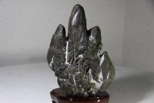 PIEDRA BONSEKI JAPONESA 19 cm/7,48" CASCADA JAPÓN BONSAI ANTIGUO Suiseki 018d - Imagen 9 de 11
