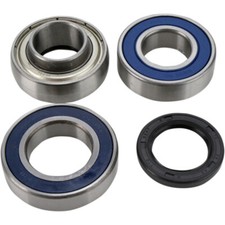 All Balls Chain Case Bearing and Seal Kit | 14-1043