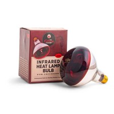 Infrared Heat Lamp Glass Bulb 250 Watt