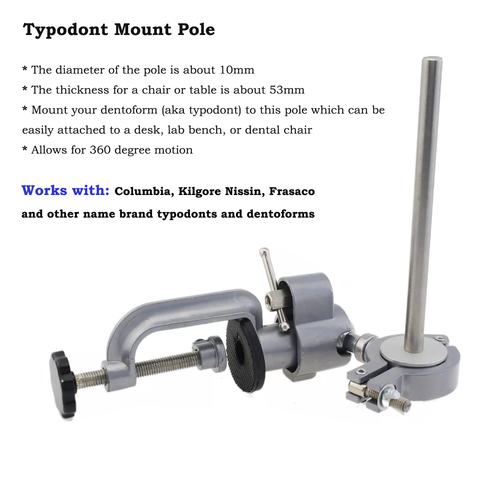 Dental Typodont Zähne Modell Montagestange Kilgore Nissin Frasaco Columbia 860 - Bild 21 von 66
