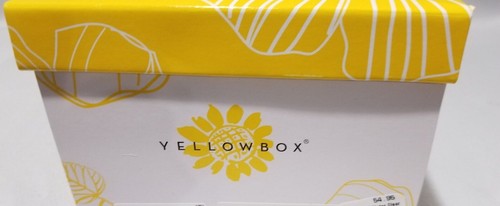 Yellow Box Flip Flops Birder Womens 9 Clear Rhinestone Wedge 21808 Comfort New - Picture 9 of 11