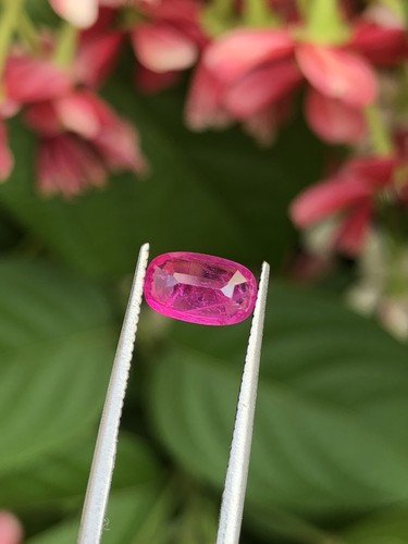 Certified Afghan Ruby 0.89 Ct Purplish Red Cushion Natural Untreated Gemstone - Picture 17 of 21