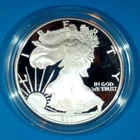 2001-W U.S. SILVER AMERICAN EAGLE - ORIGINAL ISSUE BOX & CASE - NO COA - PROOF