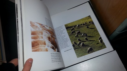 VENETIEN Geschichte eines Märchens - BRUNO VESPA - 2006 - VLE1 - Bild 6 von 9