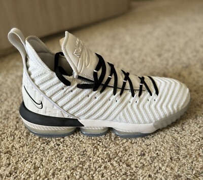 Size 13 - Nike LeBron 16 Equality - White/Black 192498519963| eBay