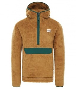 north face m cmpshire po hoodie