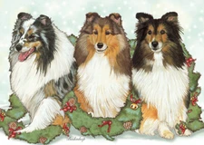 Sheltie Shetland Sheepdog Christmas Cards Set of 10 cards & 10 envelopes