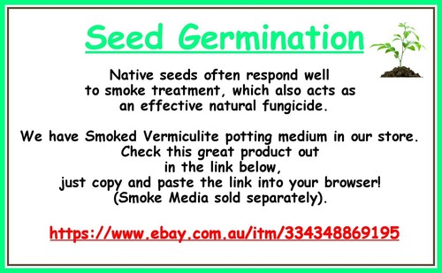 20 x ECHINACEA SEEDS-PURPLE CONE FLOWER-LAVENDER FLOWERS-MEDICINAL GARDEN PLANT - Picture 17 of 18