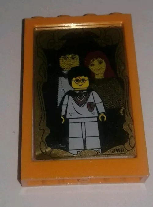 The LEGO® Mirror of Erised, Case Study