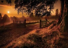 Landscape fall trees grass fence gates road sun rays Custom Gaming Mat Desk