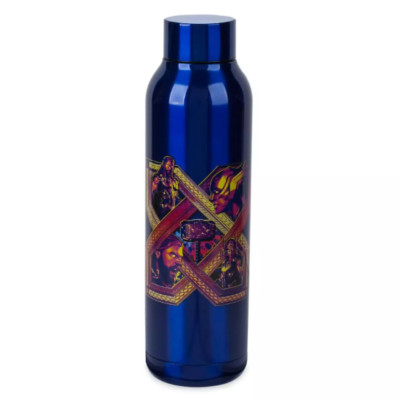 Disney Marvel Thor and Mighty Thor Stainless Steel Water Bottle-21 ounces - New