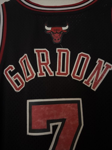 Ben Gordon Number Seven Chicago Bulls Jersey Adidas Men’s Size Large - Picture 4 of 5