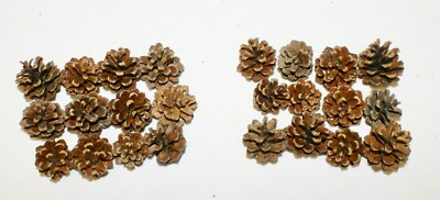 Pinecones Christmas Fall Harvest DIY Craft Hobbies Ornaments Decor 12 Per Unit