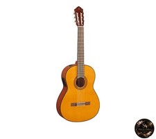 Yamaha Classical Guitar Electric Guitar CGX122MS