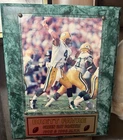 Brett Favre Green Bay Packers Signed Original Framed Photo Display 1995 1996 MVP