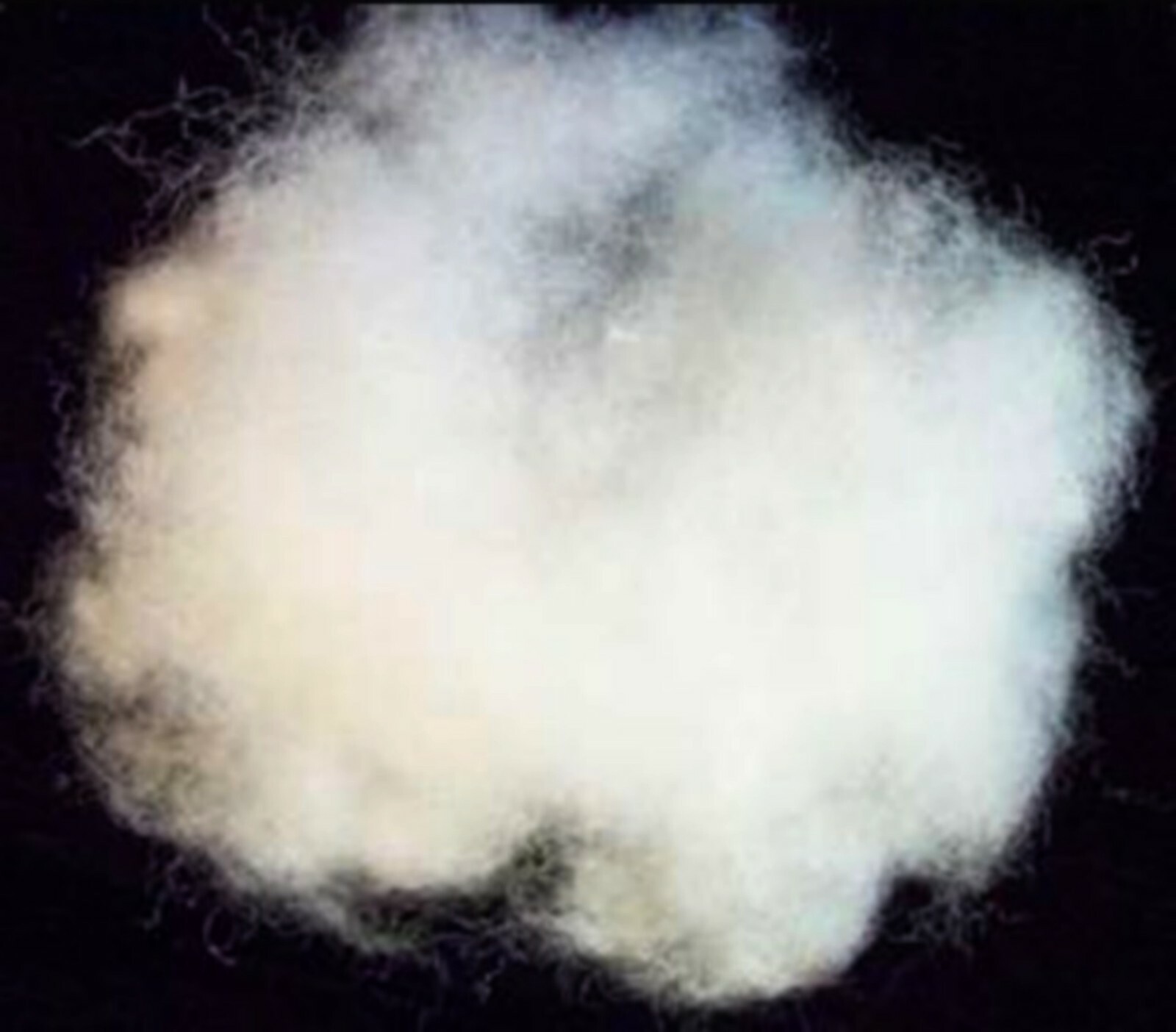 hollow fibre stuffing 5kg