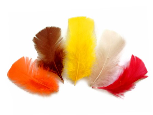 1/4 Lb. Golden Yellow Turkey T-Base Wholesale Flat Feathers Bulk Wedding Supply - Picture 6 of 12