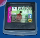 TESTED Sega GAME GEAR Game PGA TOUR GOLF II 2 Authentic in Case Working