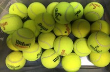 23 Clean Mixed Name Brand Practice Tennis Balls Penn Wilson  Dog Chews Fast Shi