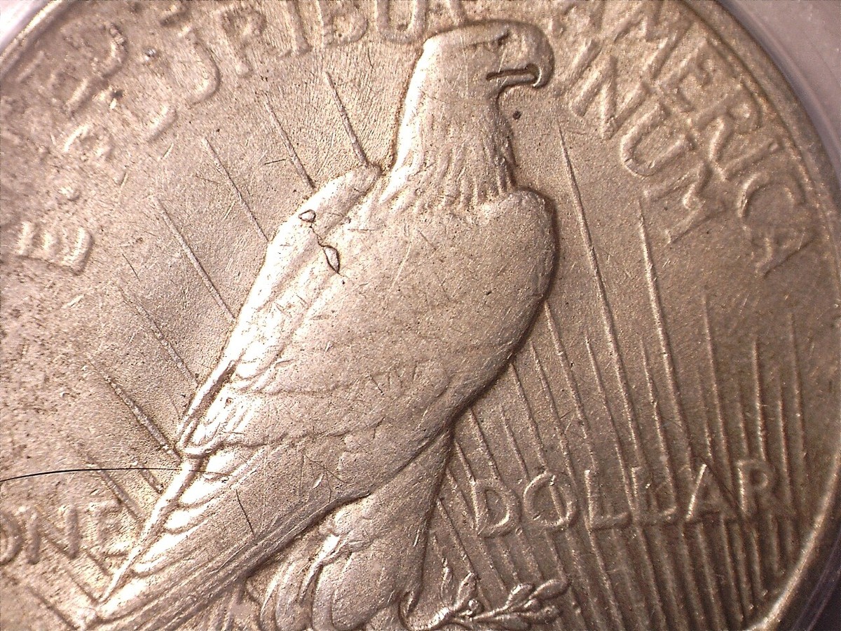 1923-P Peace Silver Dollar Vam 1E Top 50 Broken Wing - ICG EF40
